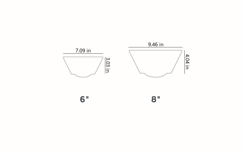 The HC Companies 8 Inch Venus Succulent Planter - Unique Decorative Shallow Plastic Plant Pot with Drainage, Artisan Taupe