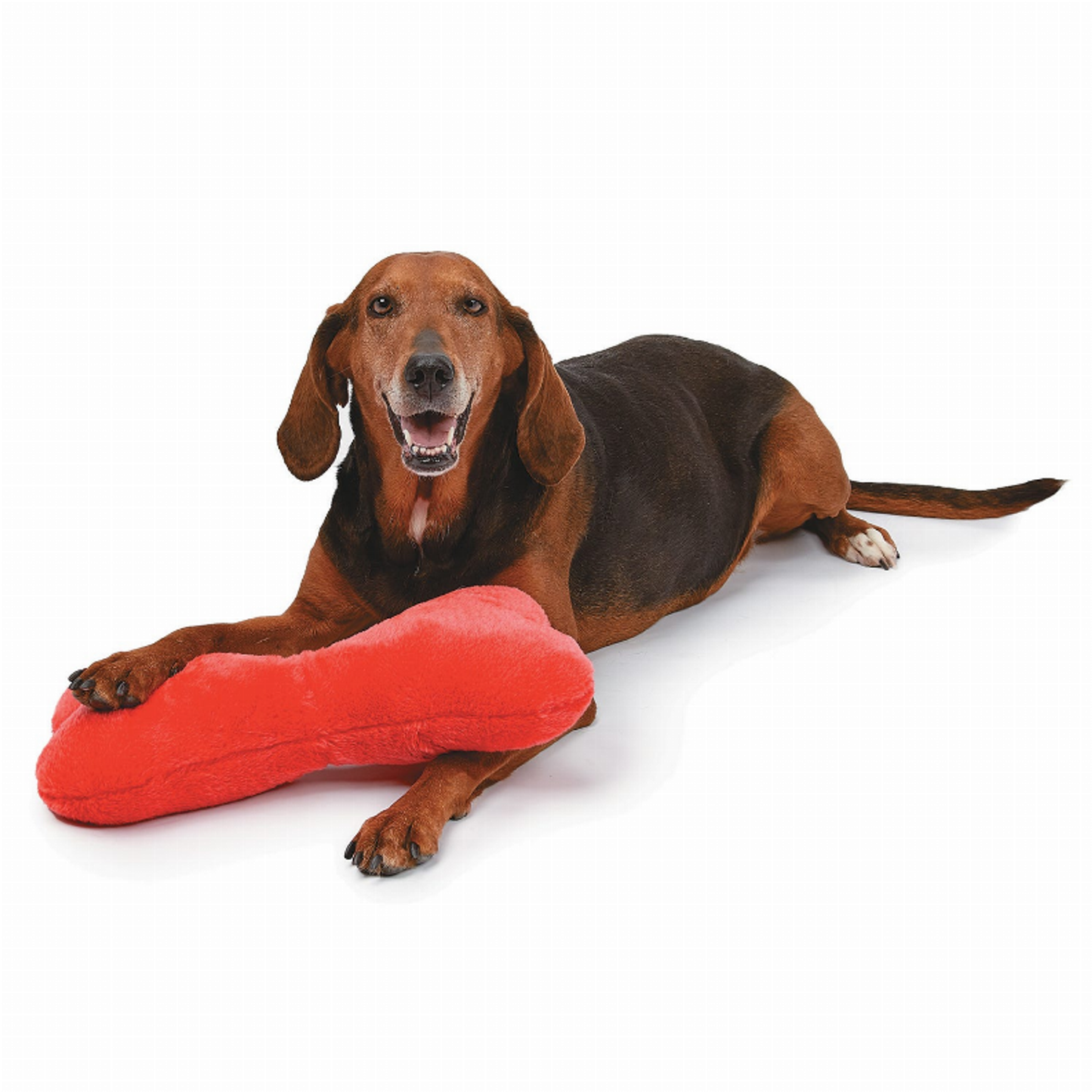 ZA Mega Color Plush Bone 16.5In Asst