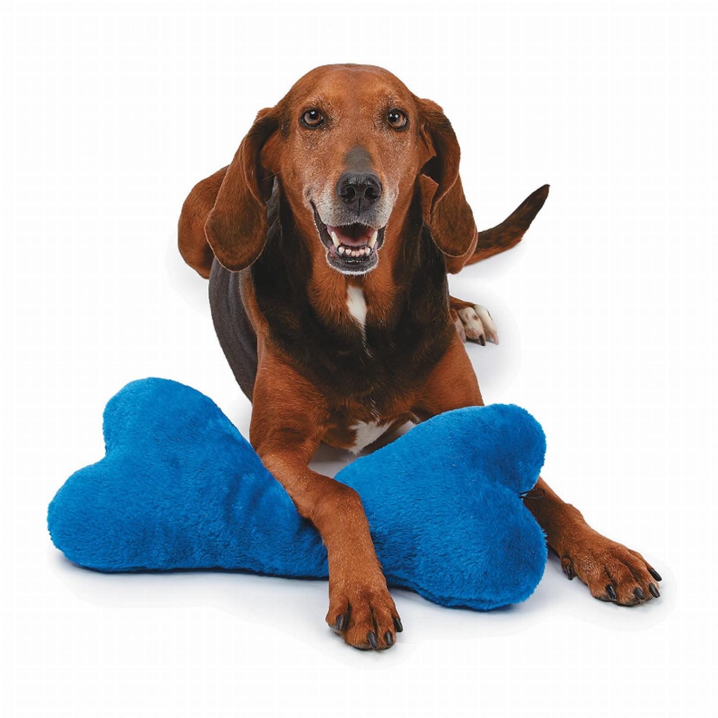 ZA Mega Color Plush Bone 16.5In Asst