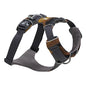 Ruffwear, Front Range Dog Harness, Reflective and Padded Harness for Training and Everyday, Purple Sage, Large/X-Large