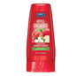 Shampoo and Conditioner (12 Fl Oz (Apple Orchard), Conditioner)