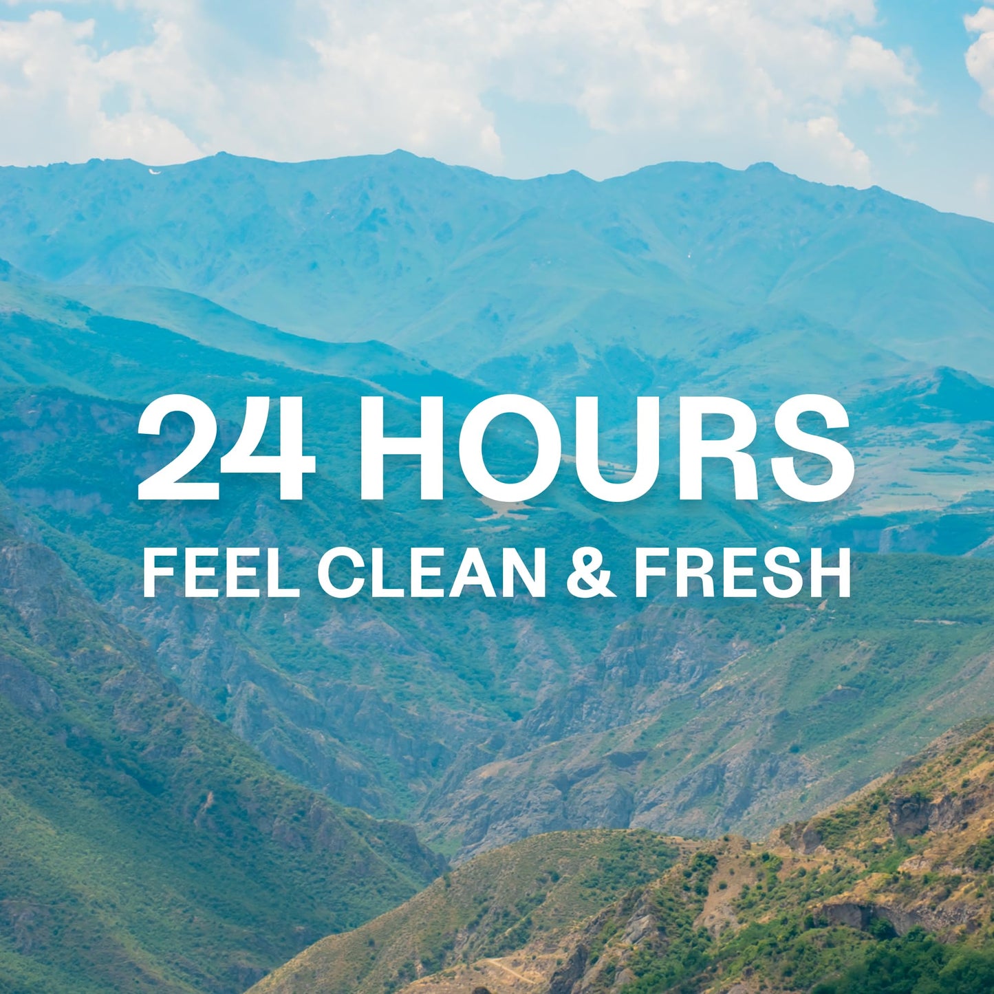Body Wash 12 Fl oz - Enriched with Vitamin E, Feel Clean and Fresh All Day, 24 Hrs Fresh, Long-Lasting Spring Fresh Scent, Gentle and Moisturizing for All Skin Types, Pack of 1